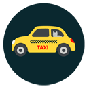 pet taxi