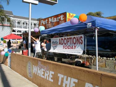 Pet Mart Hermosa Beach